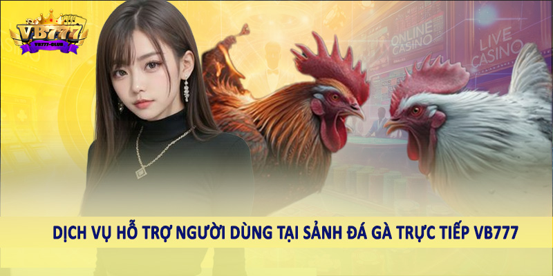 Dịch vụ hỗ trợ người dùng tại sảnh đá gà trực tiếp VB777