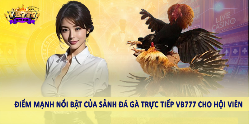 Điểm mạnh nổi bật của sảnh đá gà trực tiếp VB777 cho hội viên