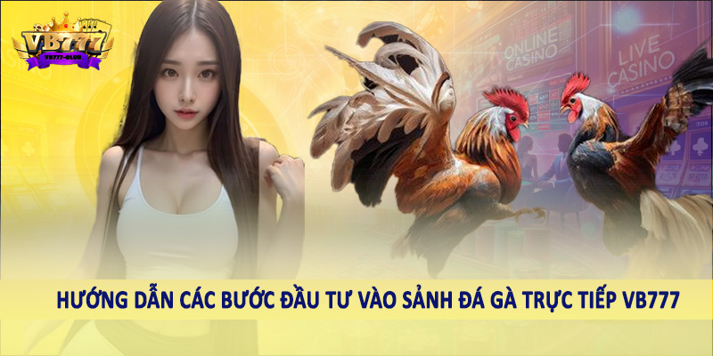 Hướng dẫn các bước đầu tư vào sảnh đá gà trực tiếp VB777