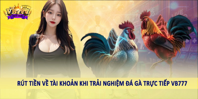 Rút tiền về tài khoản khi trải nghiệm đá gà trực tiếp VB777